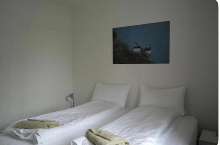 איילססטאד'יר Eidavellir Apartments And Rooms מראה חיצוני תמונה