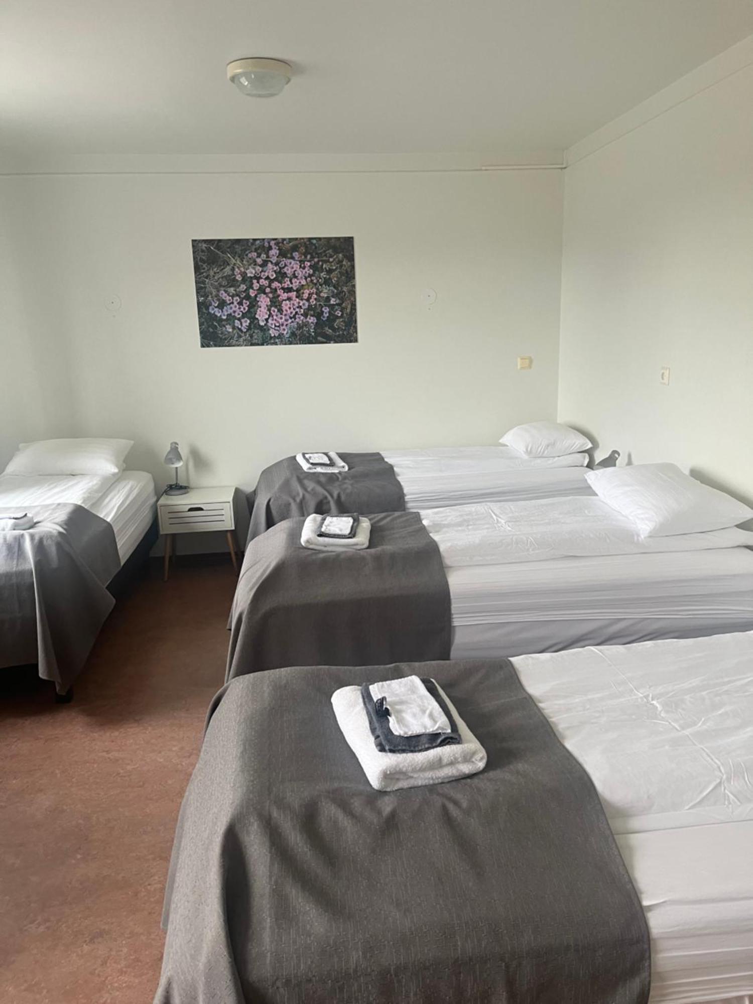 איילססטאד'יר Eidavellir Apartments And Rooms מראה חיצוני תמונה